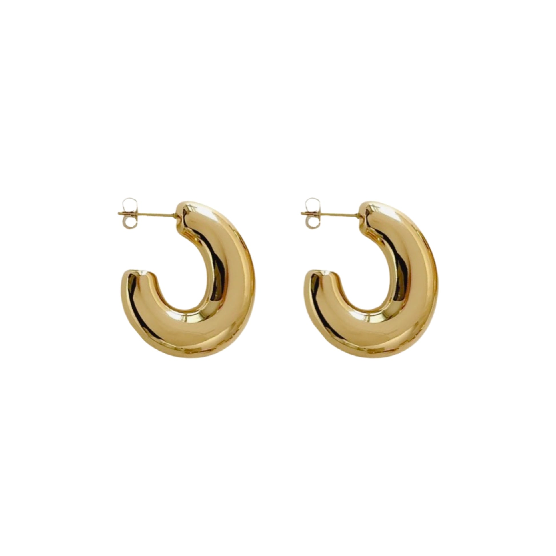 Patricia Earrings image 0